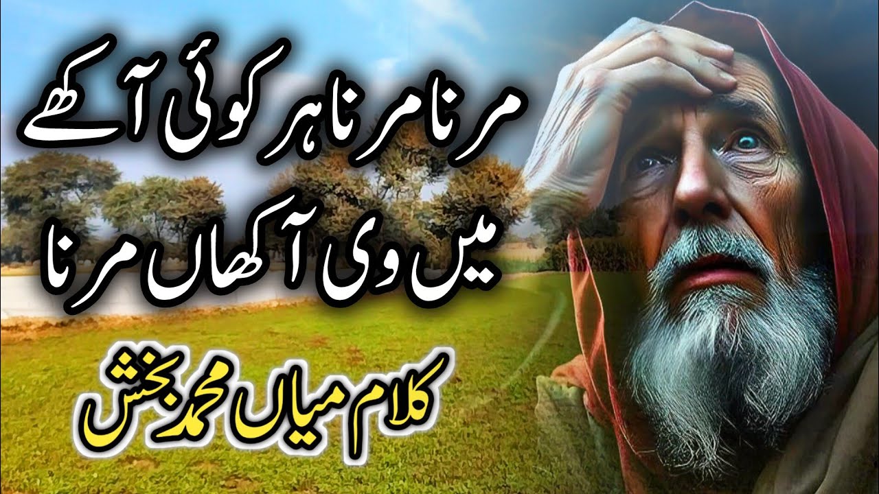 Arfana kalam mian muhammad bakhsh || Mueen shakir FT 
