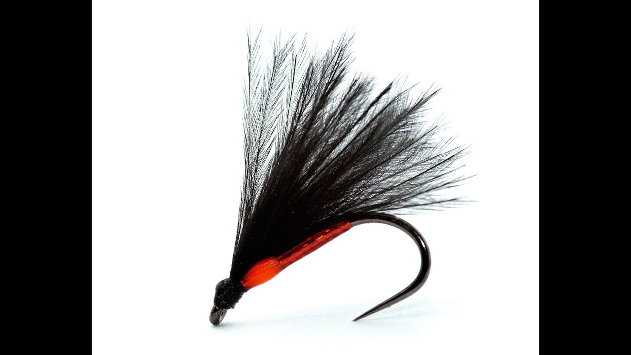 Cormorant (Competition Variation)