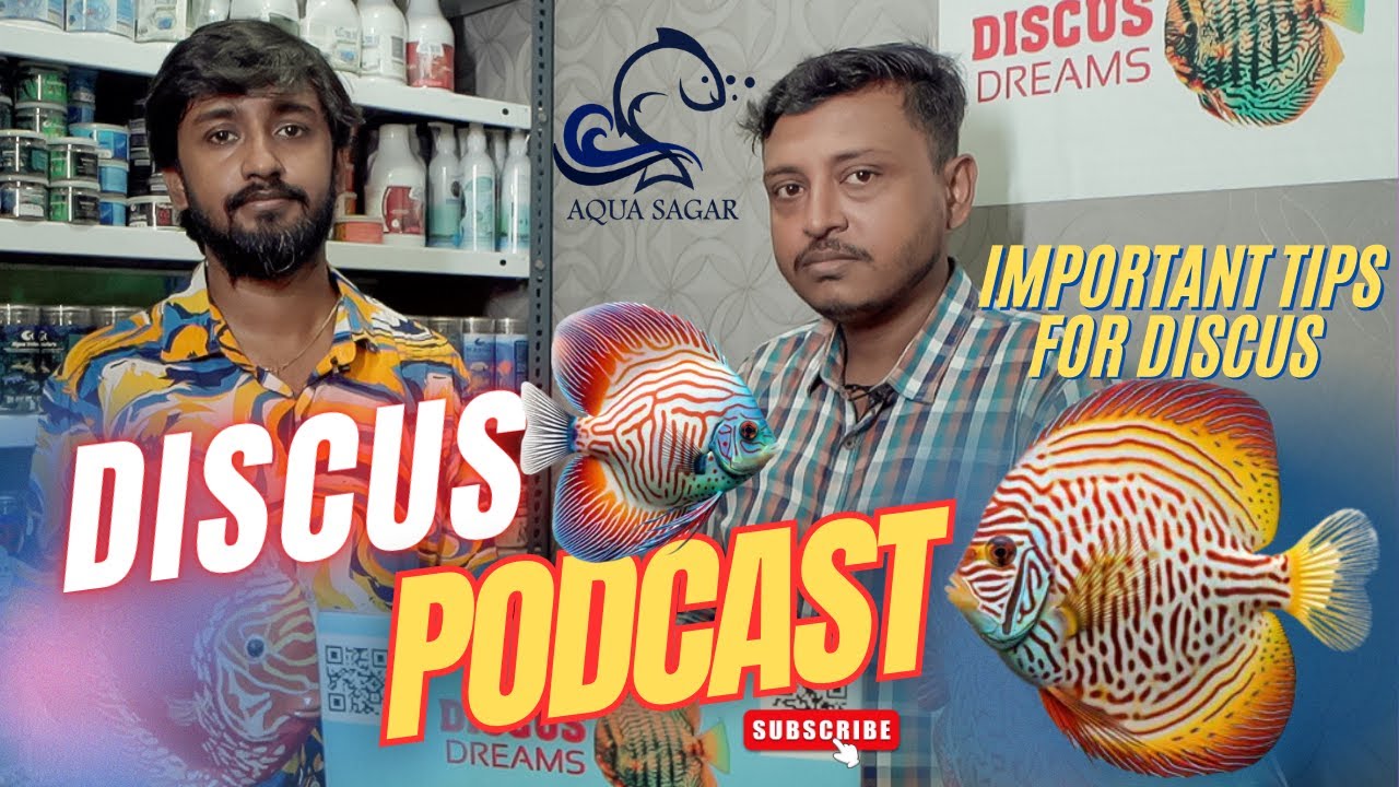 Podcast on Discus Fish Keeping & Breeding with Ayan Das at 
