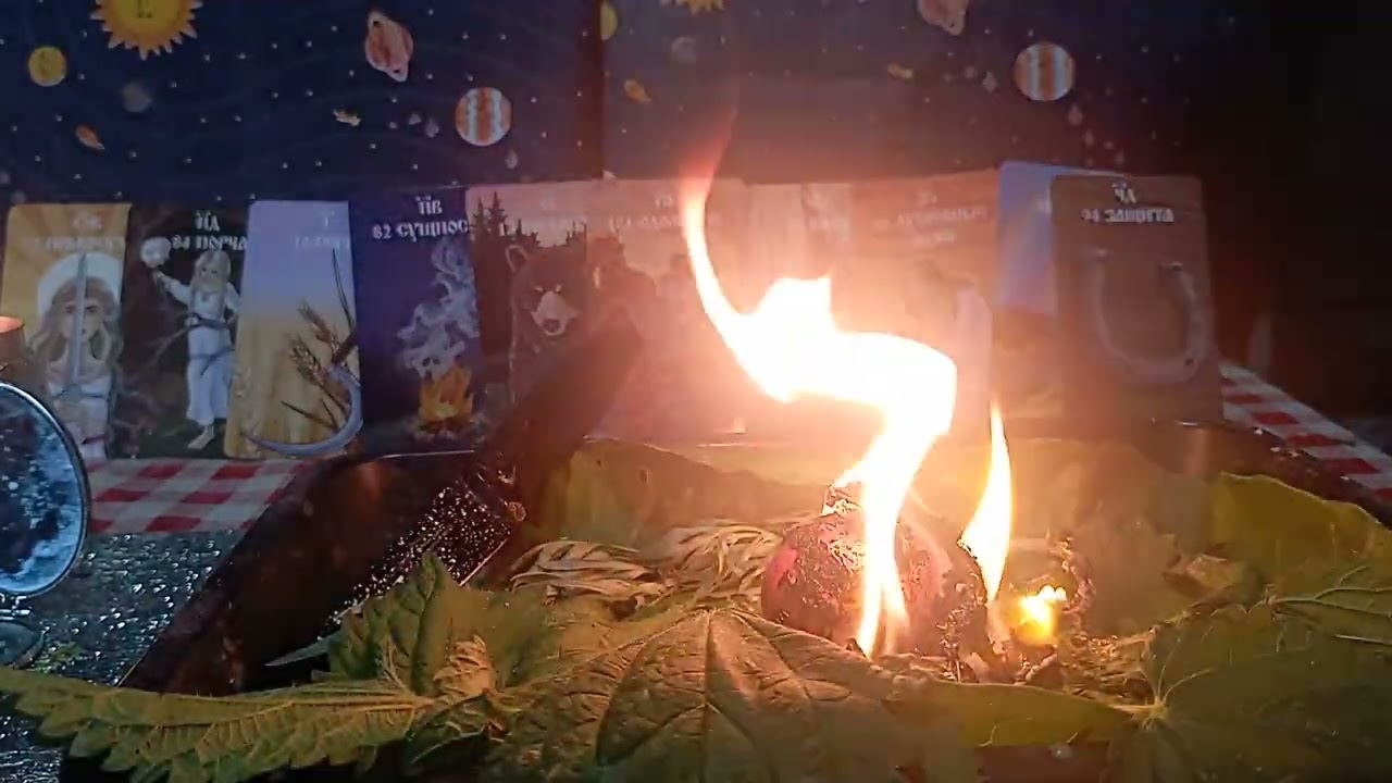 ЧИСТКА,,ЗАКОЛЬЦОВКА НА ПОРЧИ и БОЛЕЗНИ,,🕳️🕳️🕳️🕳️🕳️🕳️🕳️🕳️🕳️🕳️🕳️🕳️🕳️🕳️🕳️🕳️