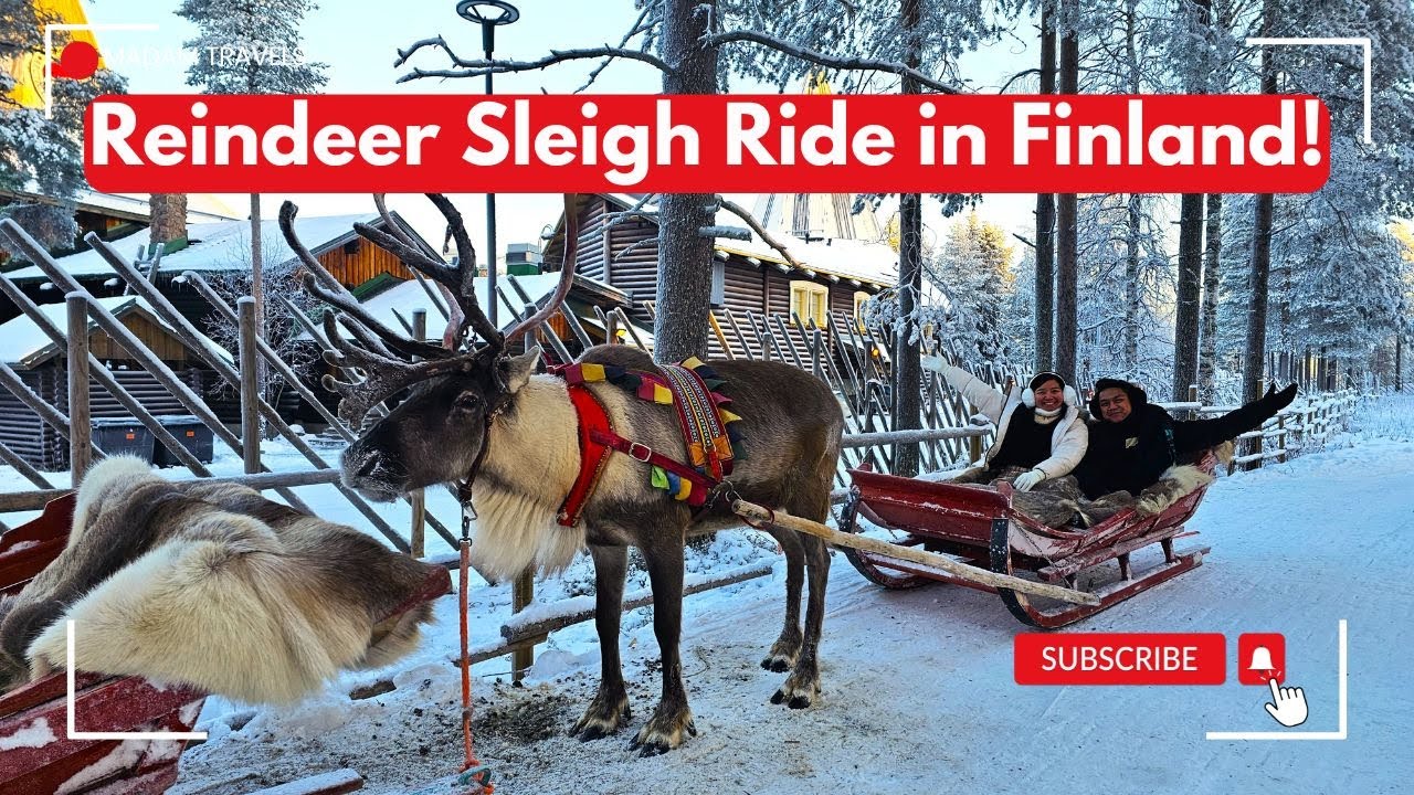 FINLAND'S Magical Reindeer Sleigh Ride