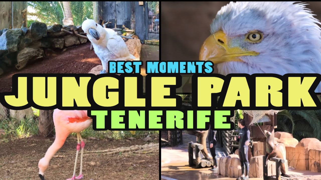 JUNGLE PARK Лучшие моменты - Тенерифе [4k]