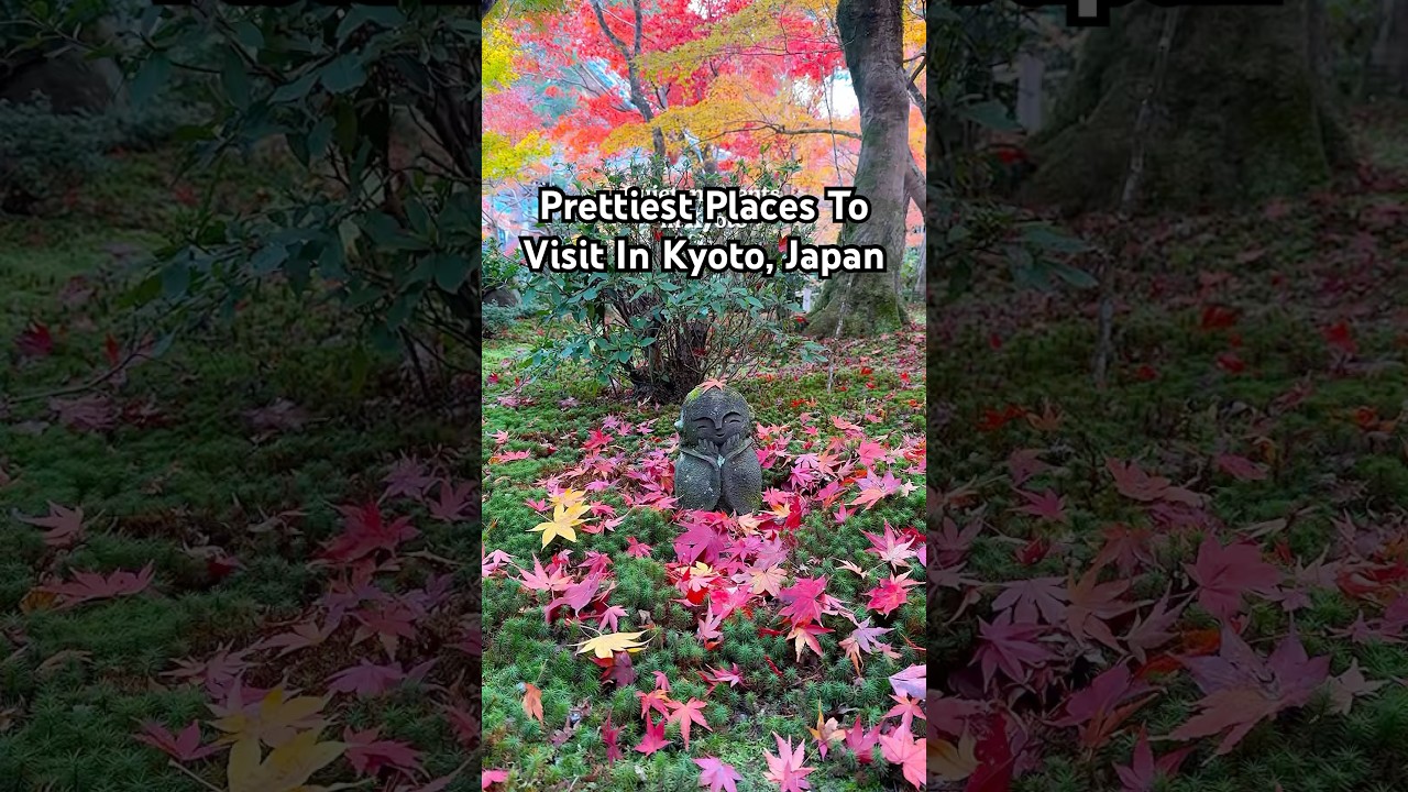 Peaceful moments from Kyoto, Japan 🇯🇵 #kyoto #kyototrip #kyototravel #kyotosightseeing #japan