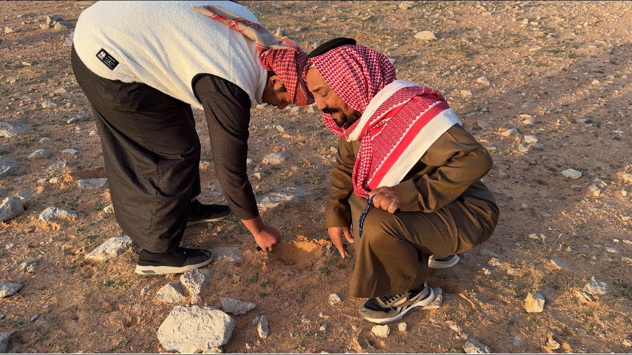 سلسلة الصحراء ـ لقط الفقع شمال جال المخروق