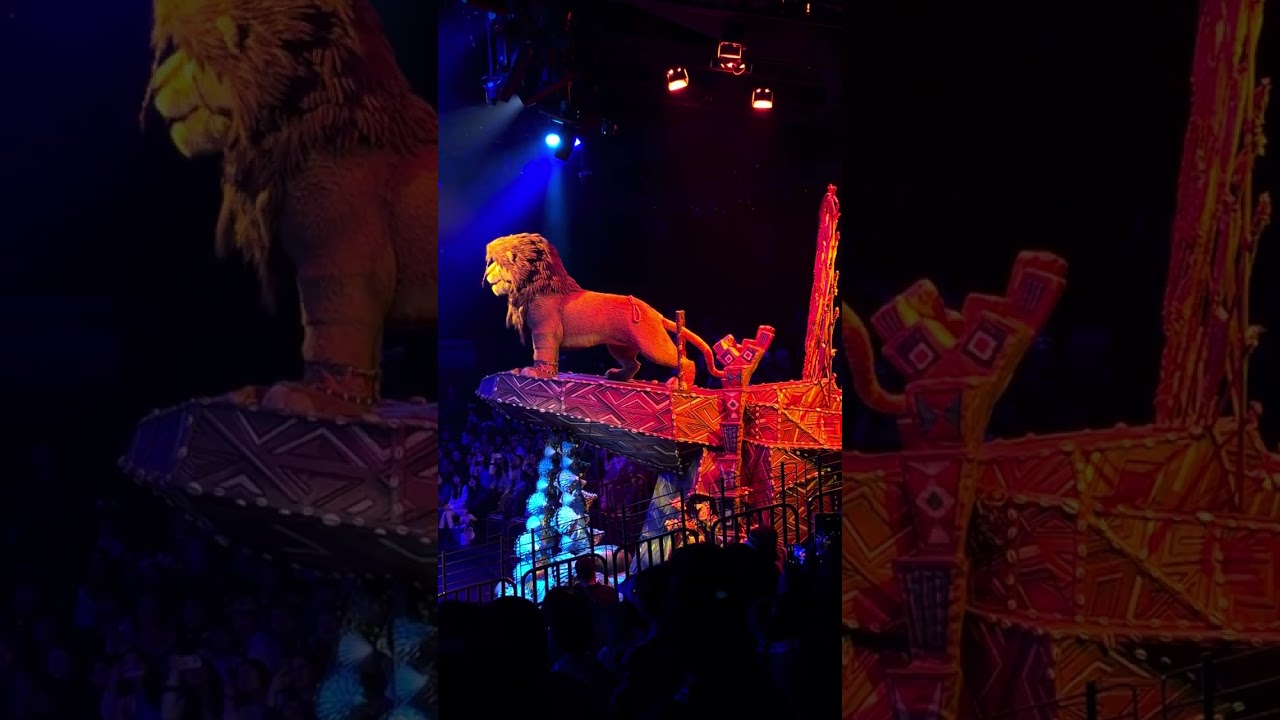 Lion King Show. Disneyland Hk. 20th Anniversary