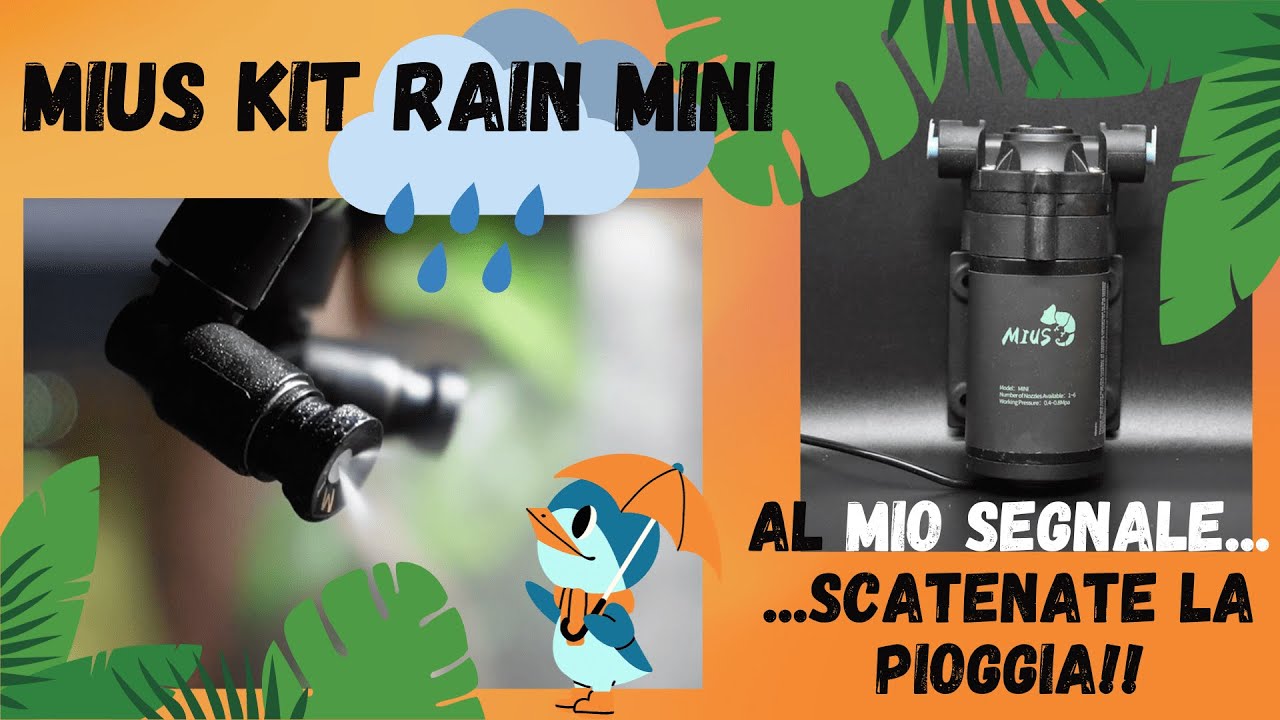 MIUS KIT RAIN - COSE'? COME FUNZIONA? - BASSI GARDEN - UNBOXING - TUTORIAL - RETTILI