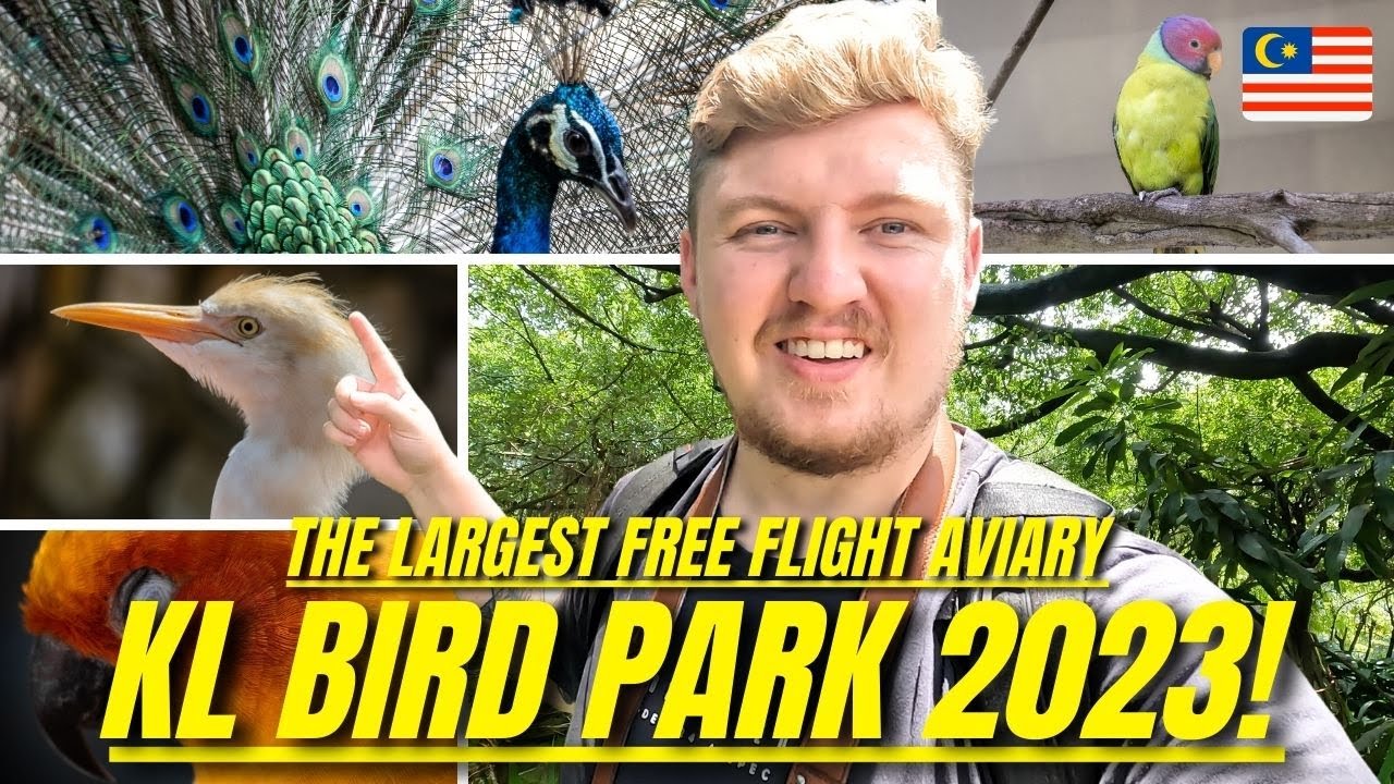 The Worlds LARGEST BIRD PARK! | KUALA LUMPUR 🇲🇾
