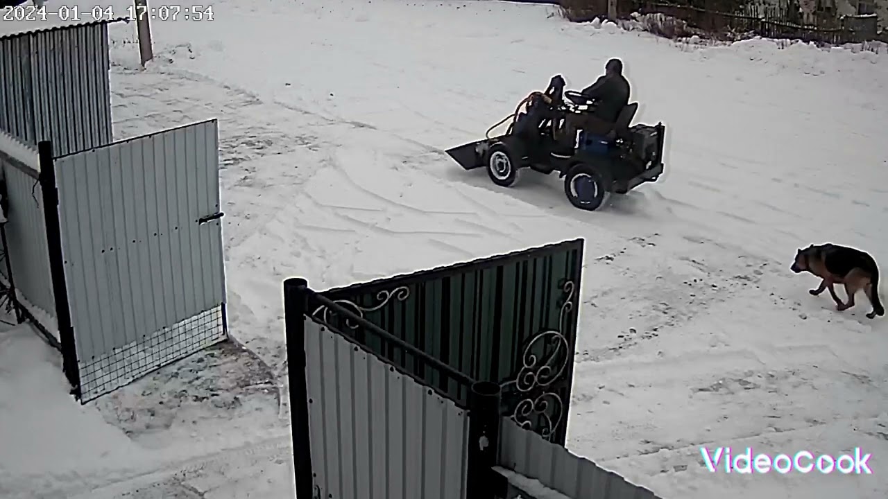 минипогрузчик, снег валит и валит.