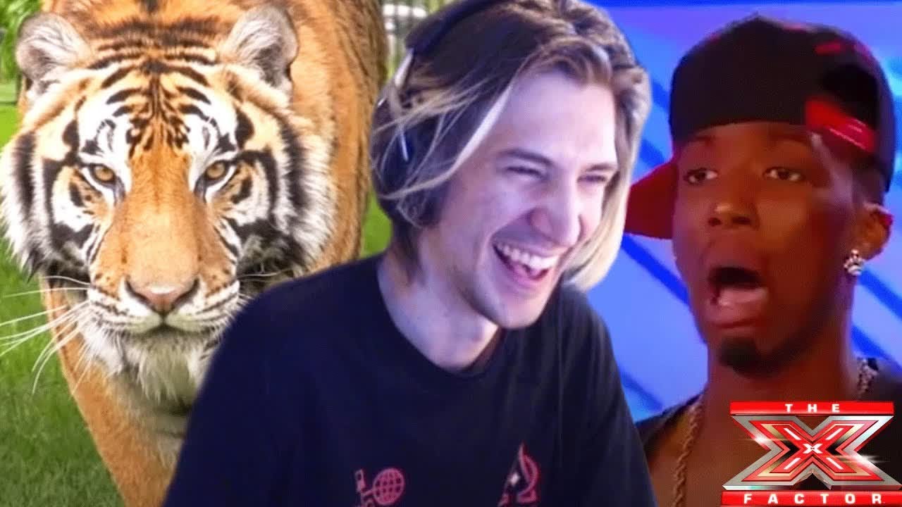 xQc Reacts to Random Videos with Chat #43