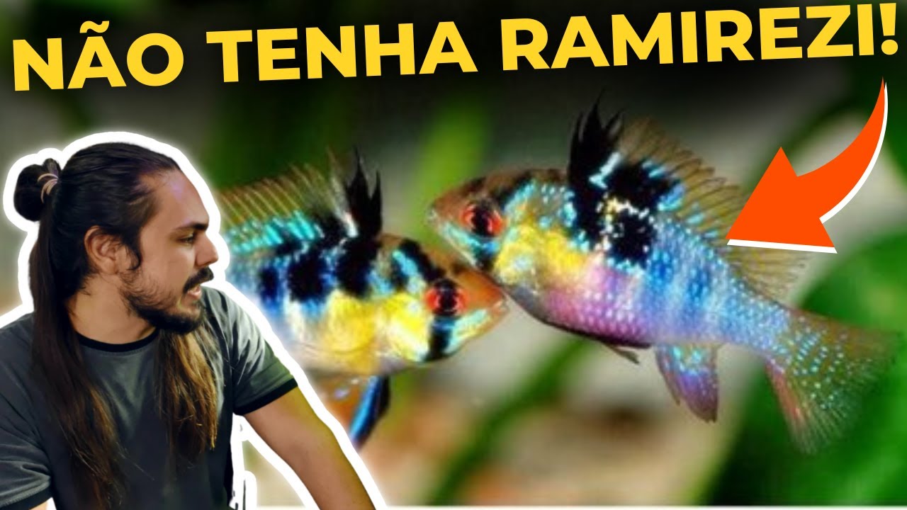 🔴NÃO TENHA RAMIREZI ANTES DE VER ESSE VÍDEO |Mr. Betta|