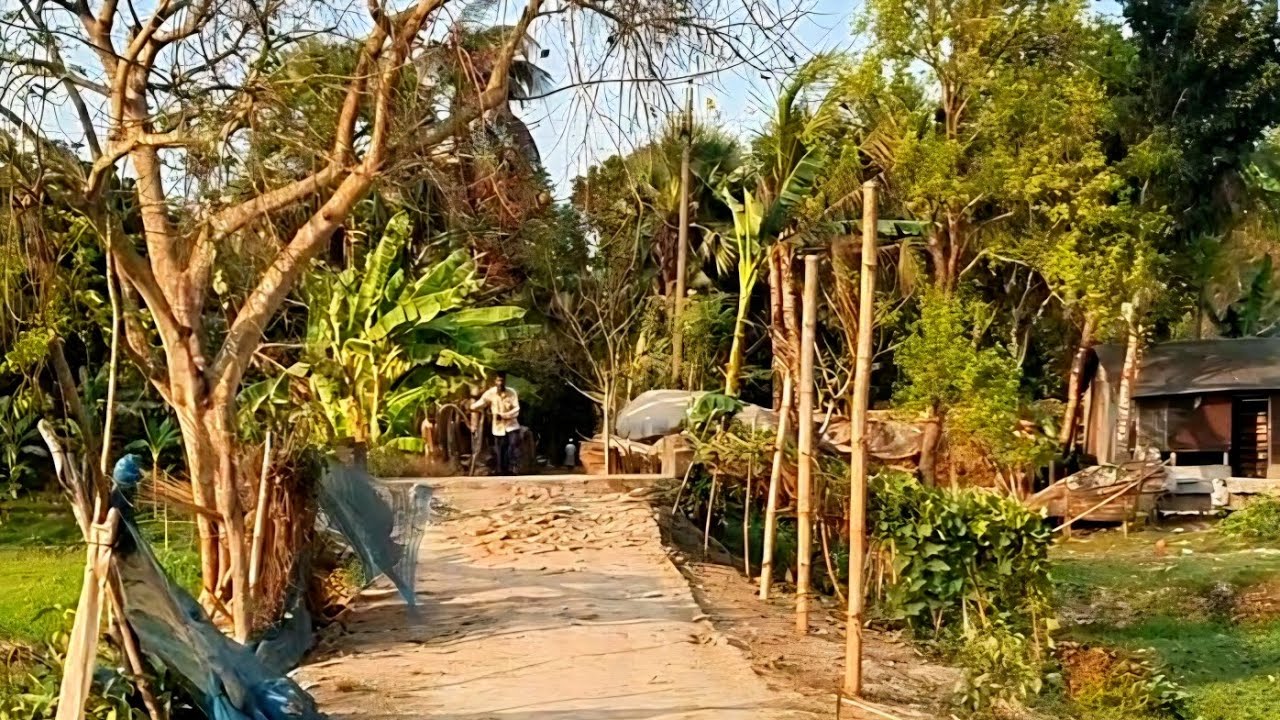 কাদিরপাড়া চরপাড়ার গ্রামীণ জীবন ও বেহাল রাস্তার বাস্তবচিত্র। ​#চরপাড়া_মাগুরা #শ্রীপুর