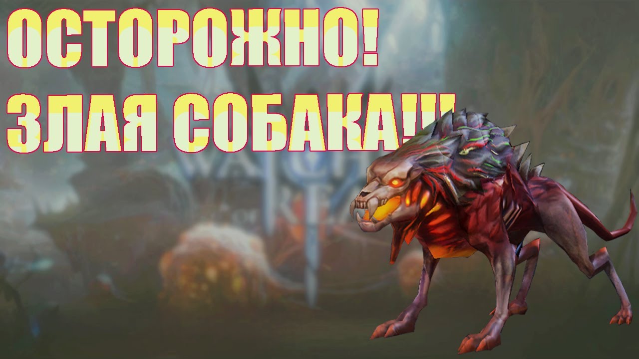 ОСТОРОЖНО! ЗЛАЯ СОБАКА! ВОЙНА ГИЛЬДИЙ! ЗОМБИ-СОБАКА!