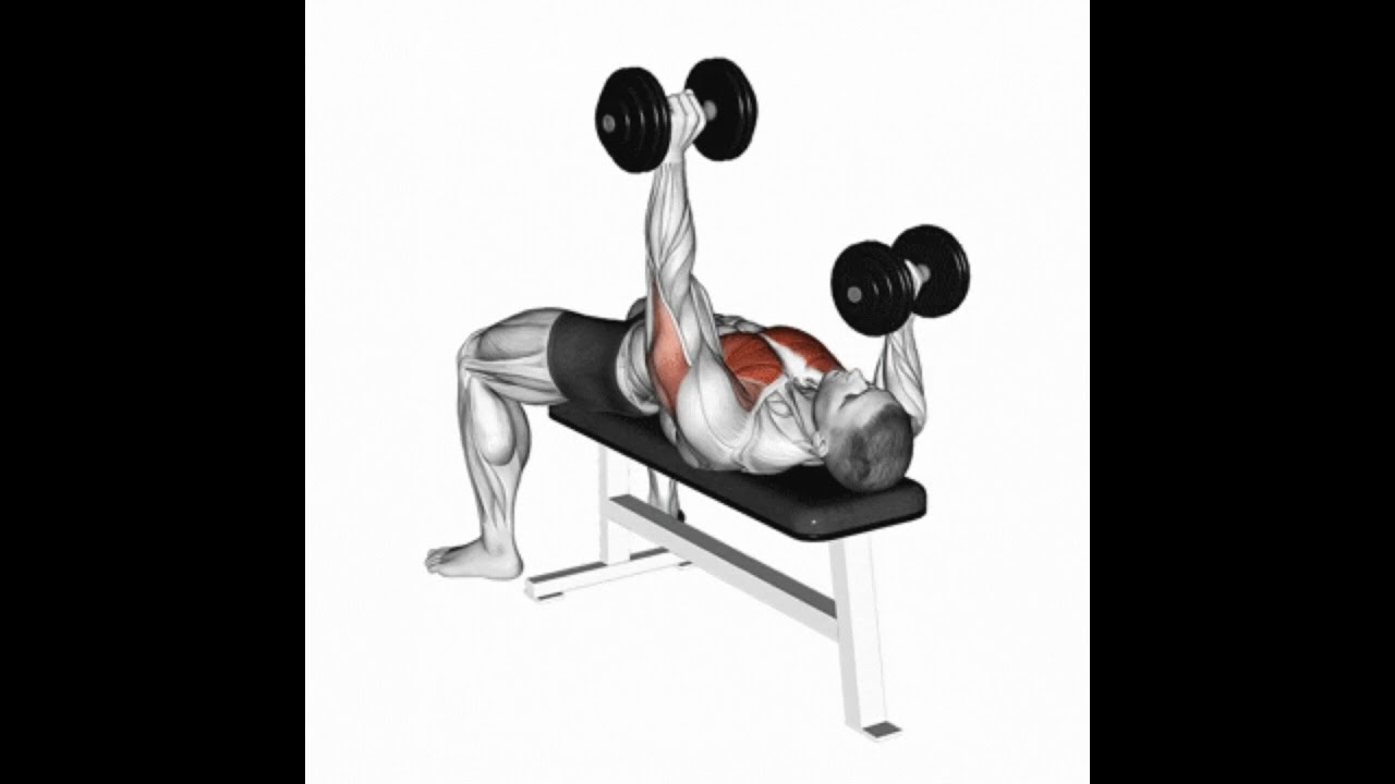 Supino Reto Unilateral Alternado com Halteres