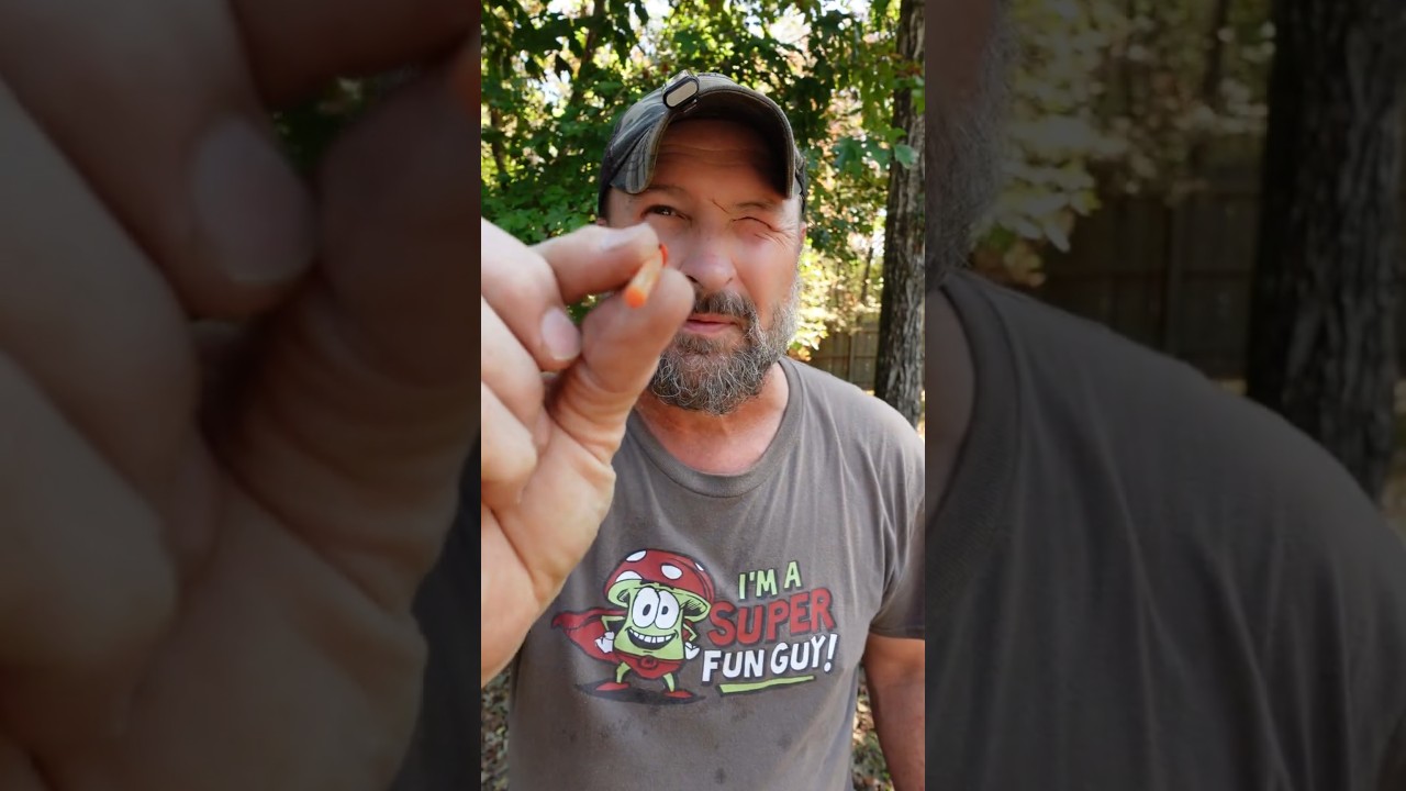Honda Fuel Filter Engineering Thwarted my Dadskills! #dadskills #lawnmower #smallengine