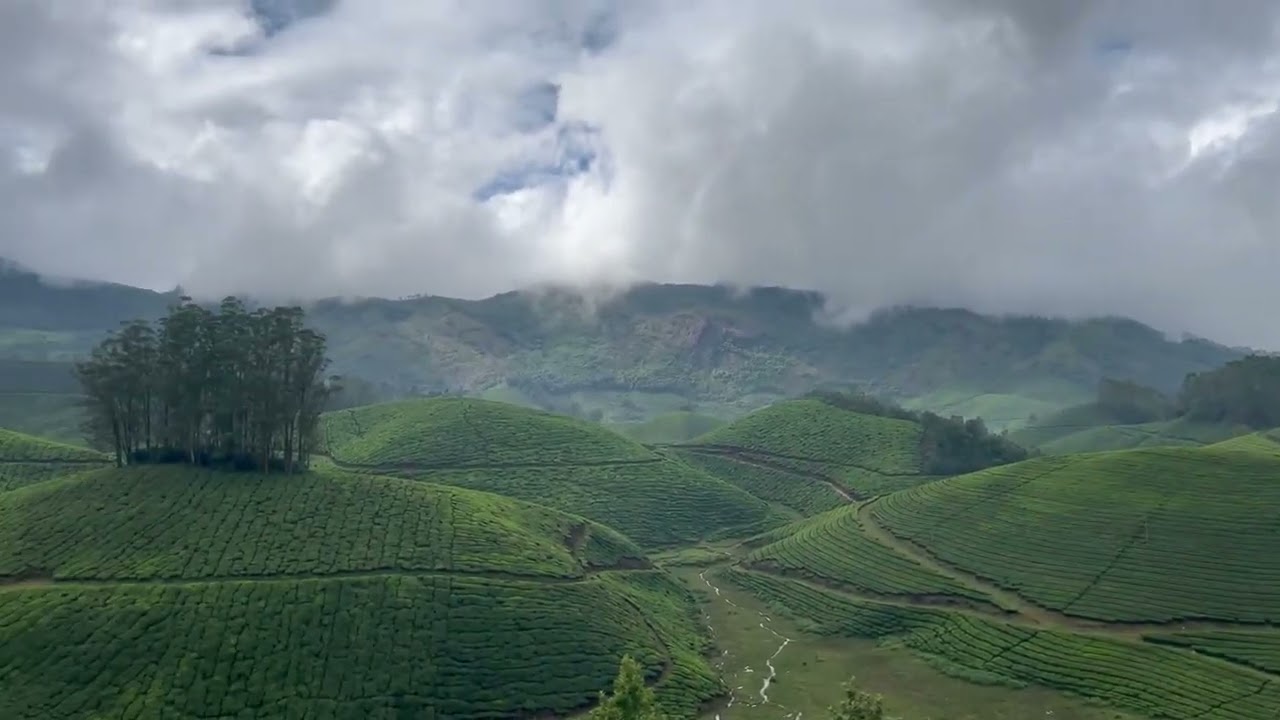 Munnar | idly hills | Kerala #travel #kerala #munnar #teafarming #idlyhills @travelcapture
