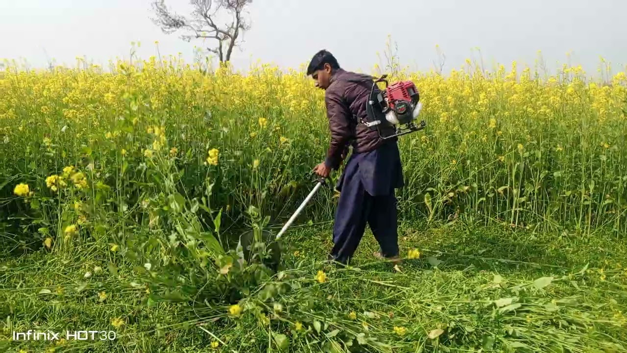 chara katne wali machine 