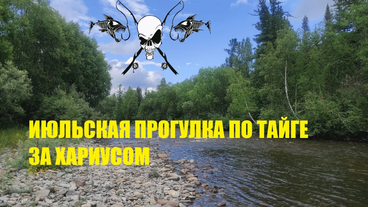 Ловля июльского хариуса