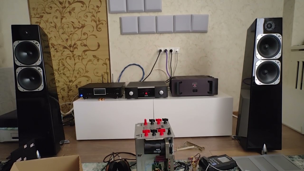 Totem element metal & Mark levinson 5206 & Cary dms 700 
