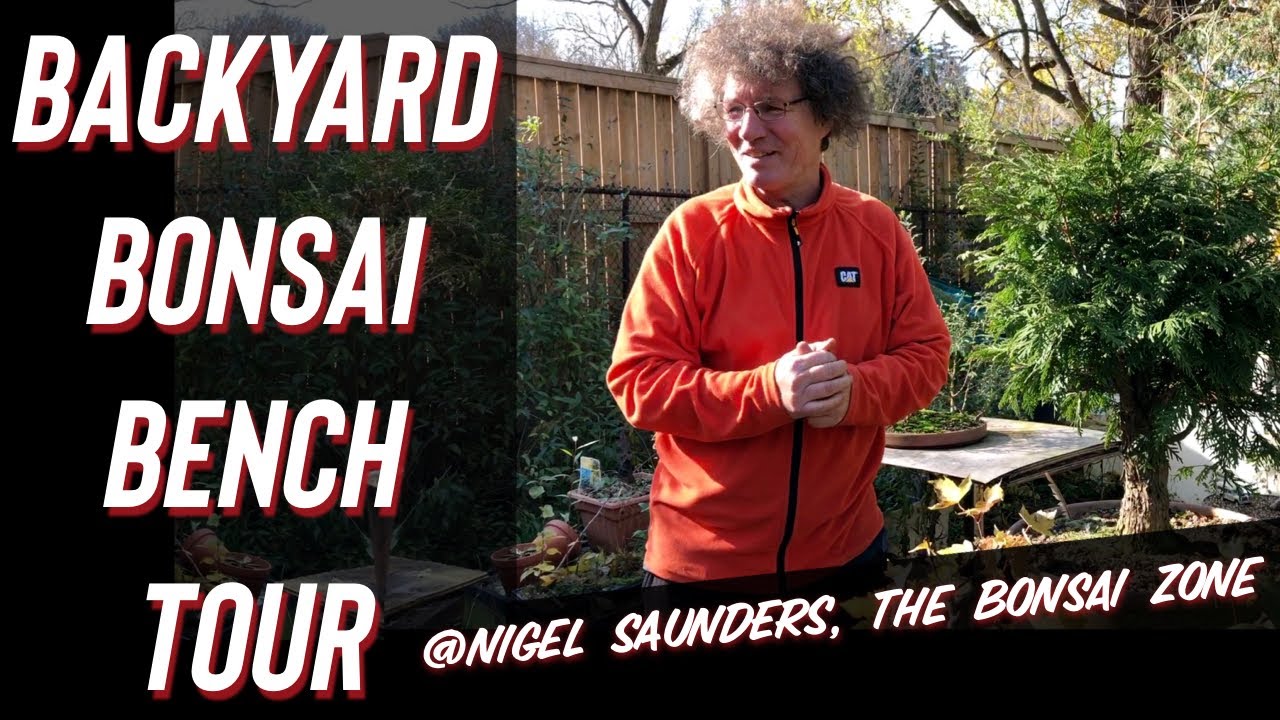 Backyard Bonsai Bench Tour with Nigel Saunders, The Bonsai Zone + Adenium Gift