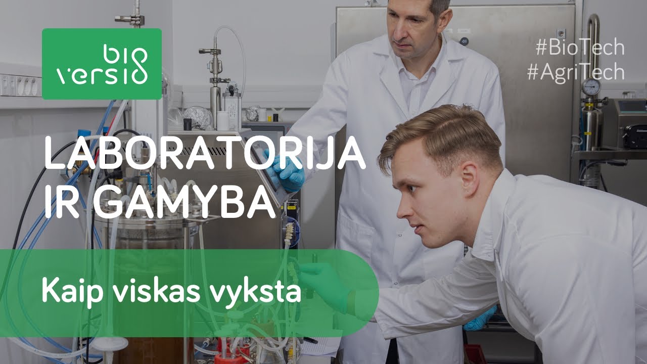 Kaip vyksta mikrobiologinių produktų žemės ūkiui gamyba