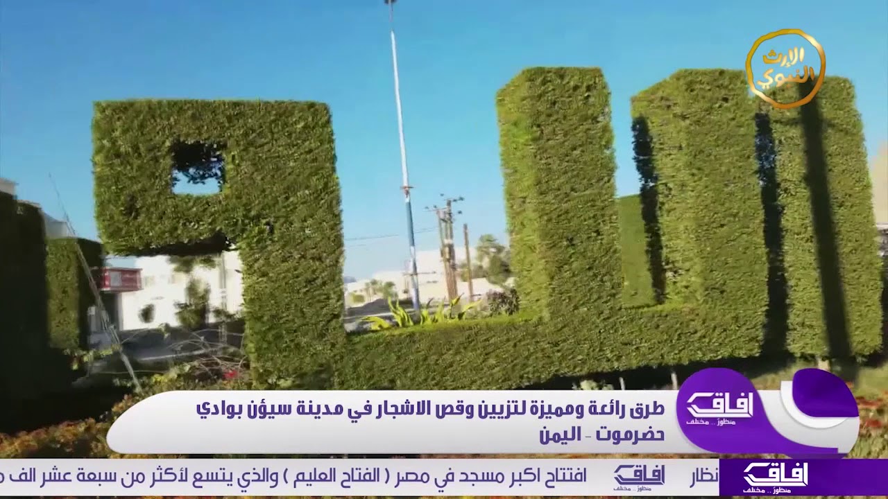 طرق رائعة ومميزة لتزيين وقص الأشجار في مدينة سيؤن بوادي حضرموت - اليمن- آفاق- @alerthTV