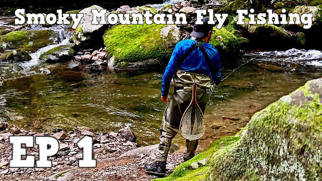 Fly Fishing The Smokies| Middle Prong | Tremont EP 1