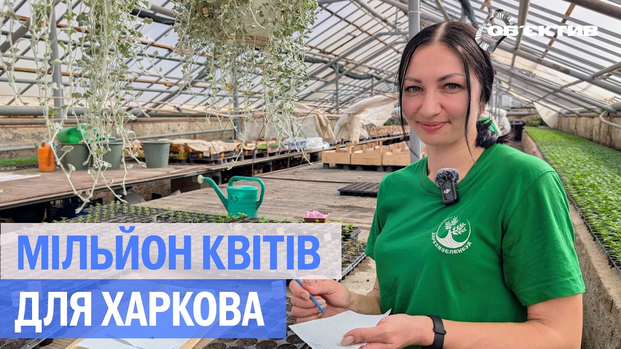 Від насінини до клумби: як комунальники готують квіти для міста