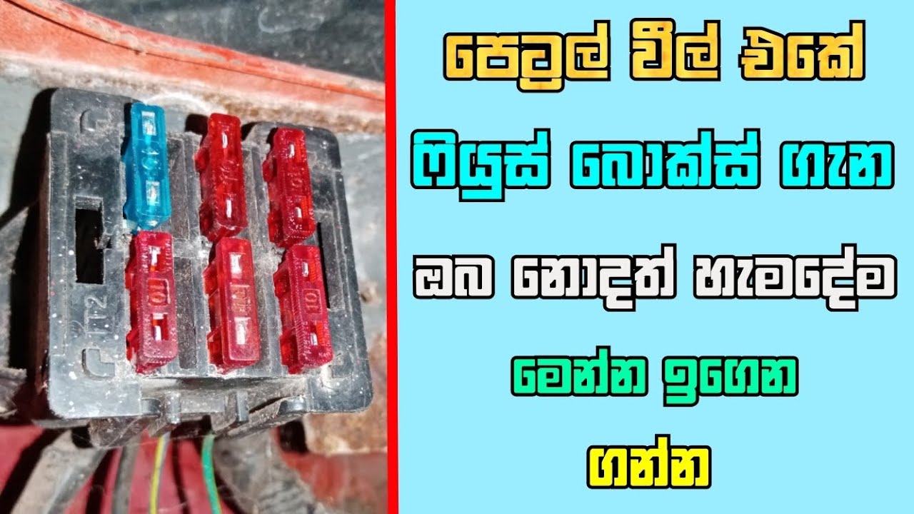 Learn everything about the fuse box of the petrol wheel here Sinhala video Piston With Anu Bro