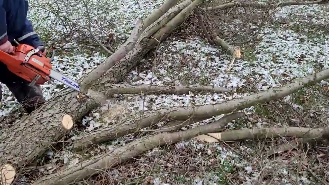 Husqvarna 359 z zestawem tnącym 325/64/1,5 - pełne dłuto,  Trilink. Ciekawe ile to warte.