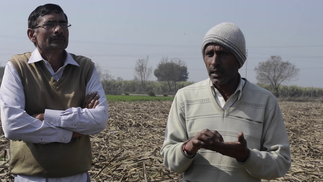 Pradhan Mantri Fasal Bima Yojana (PMFBY) : A scheme or a scam?