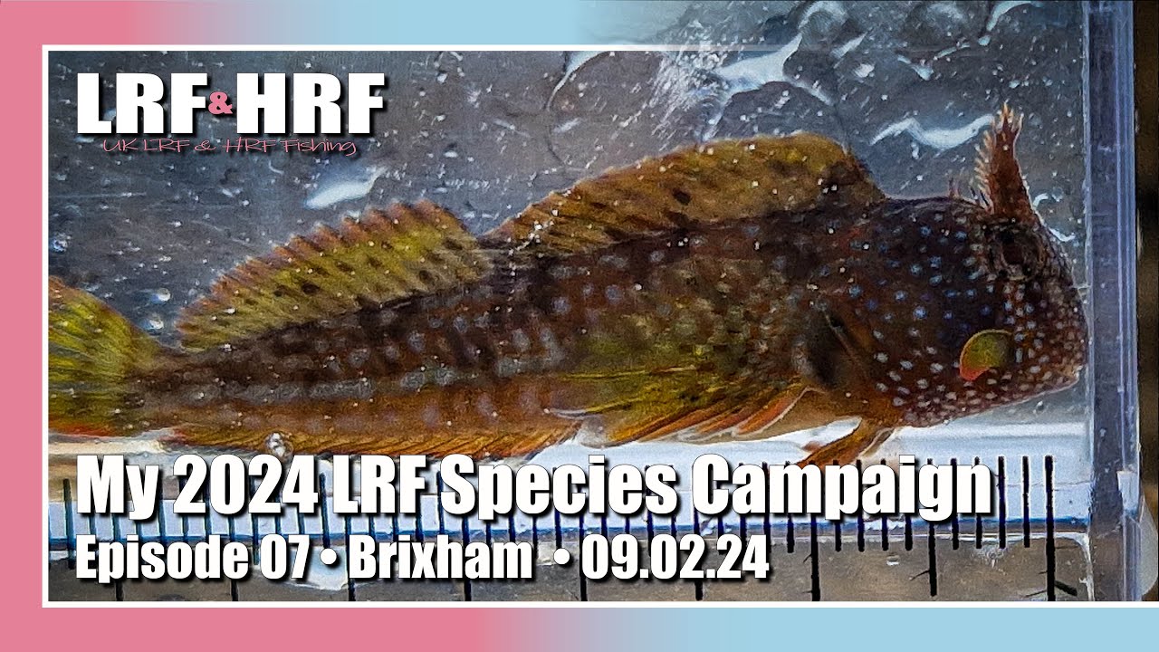 Episode 07: My 2024 LRF Species Hunt - Brixham