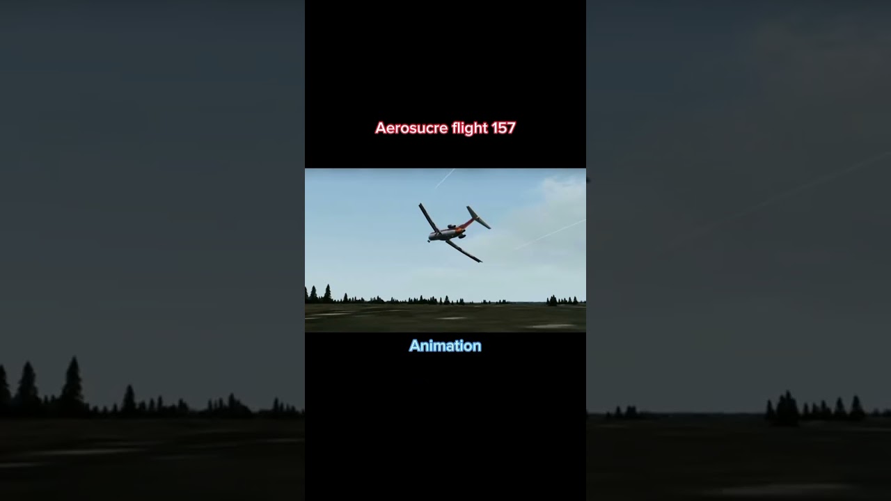 Plane crashes Animation vs Real life part 4 #planecrash #viral