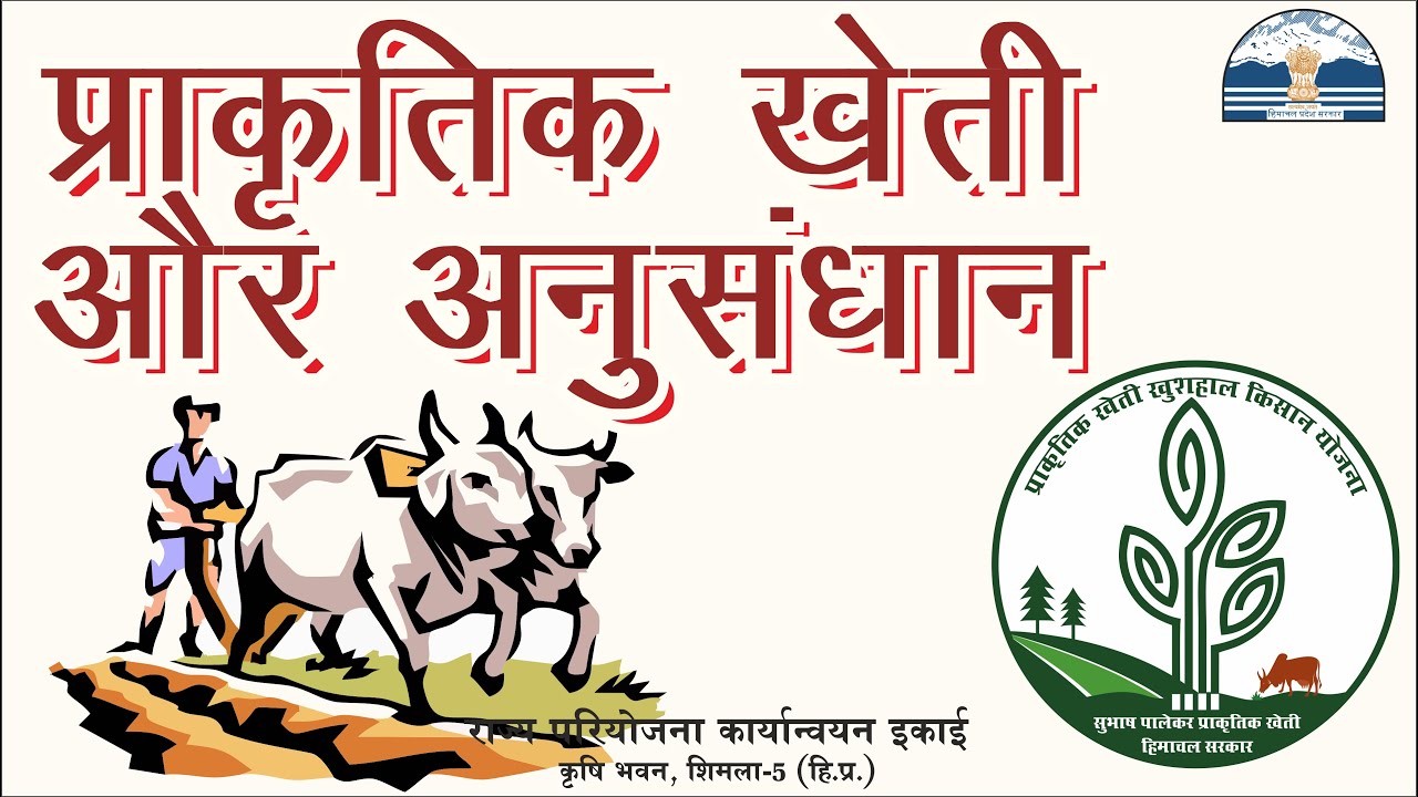 प्राकृतिक खेती और अनुसंधान #NaturalFarming &  Research #PrakritikKheti #SPNF #PrakritikKheti