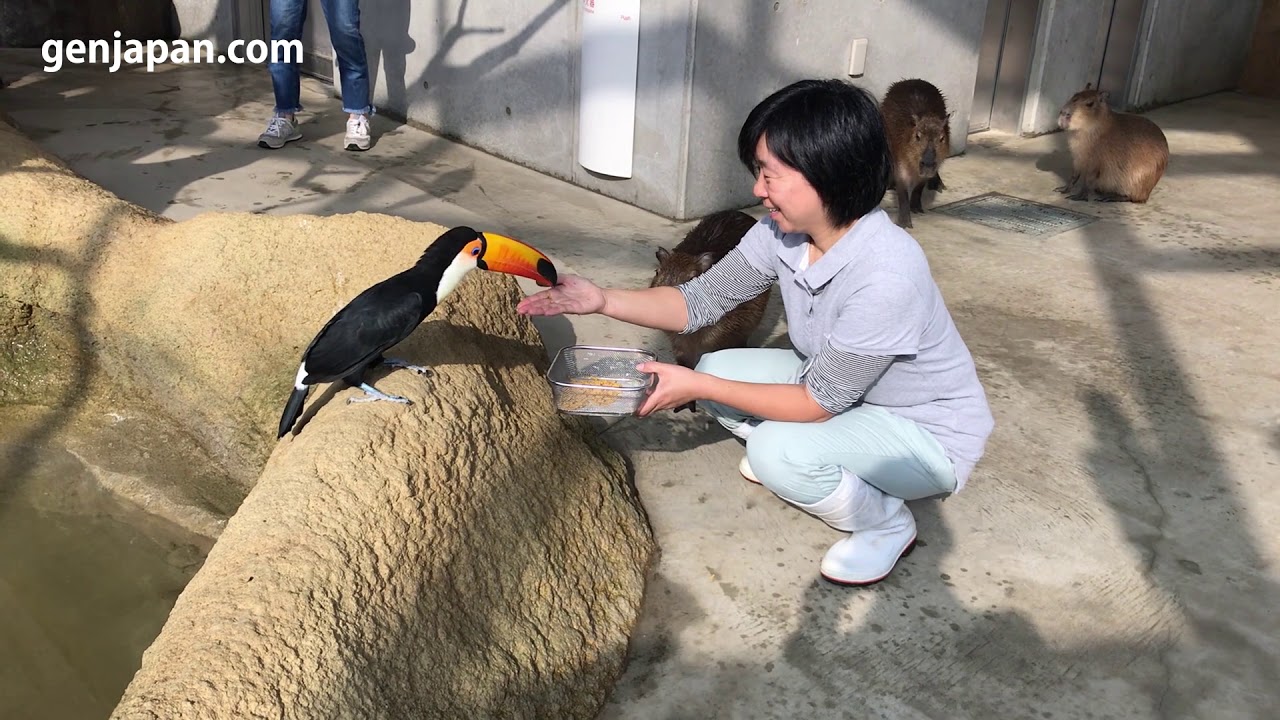 Visiting 