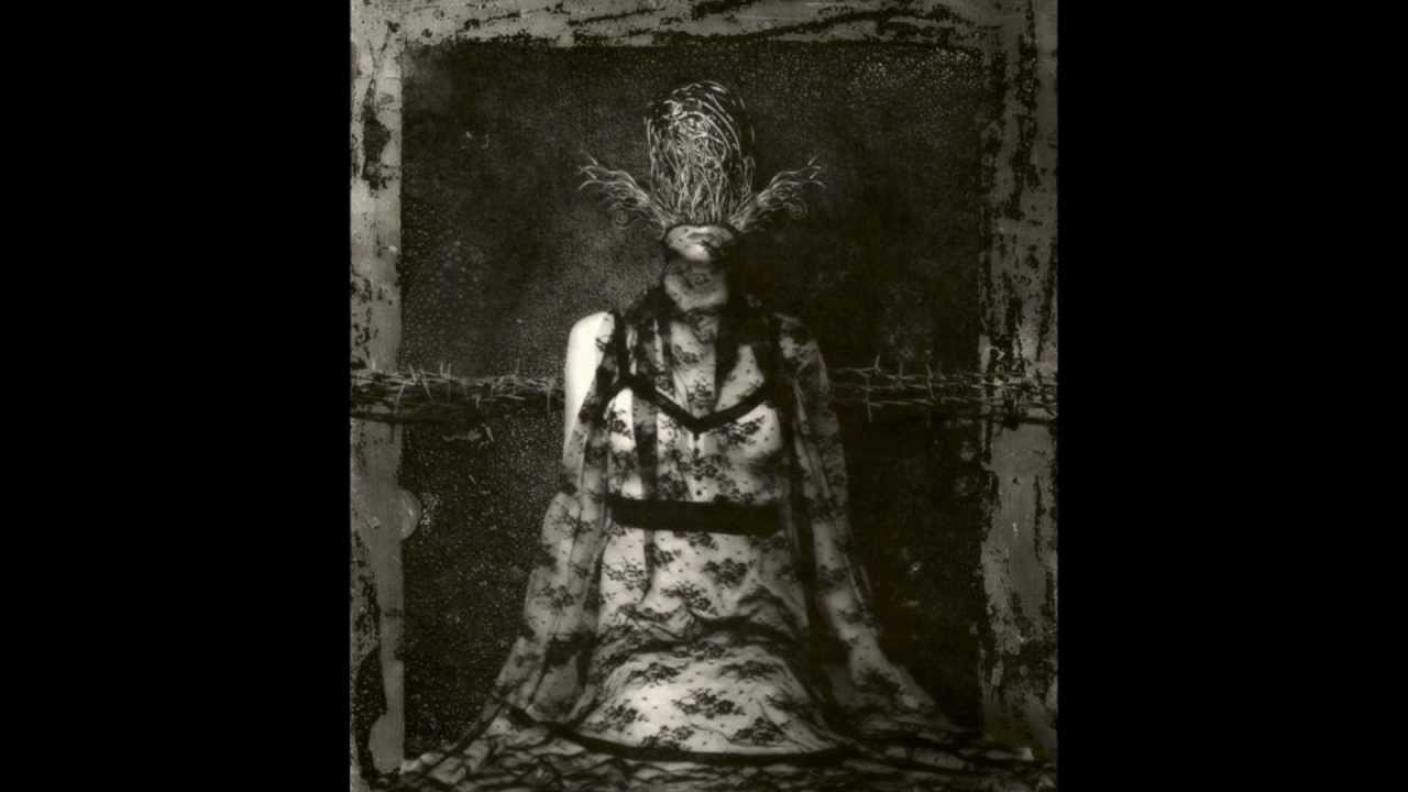 Dolina - Divag
