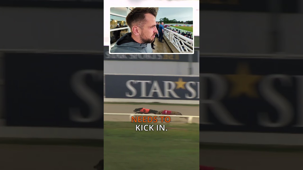 I Thought it was Over, I Was So WRONG! - #greyhoundracing #sportsbetting #bettingstrategy