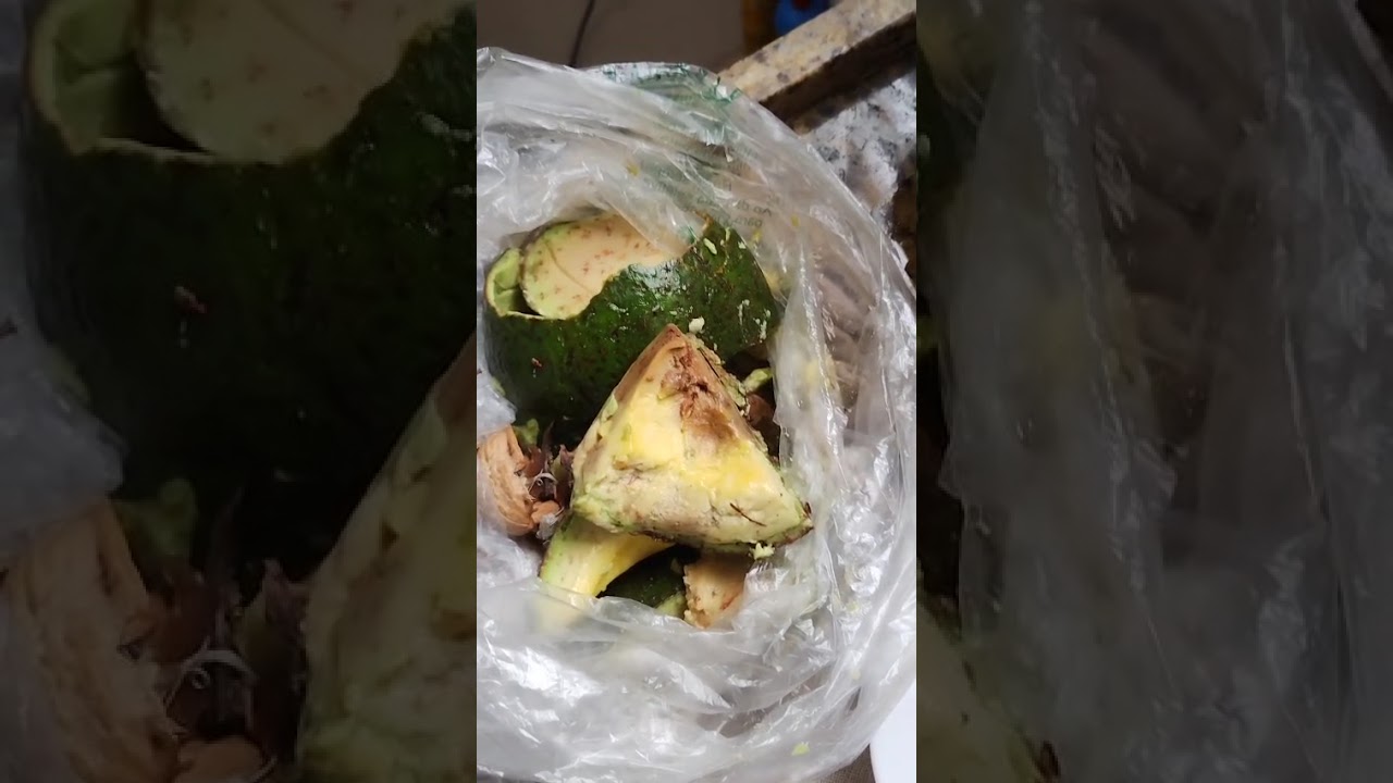 JS. Informa: Você está comprando fruta podre, verdura murcha, hortaliça em Supermercados e Sacolão