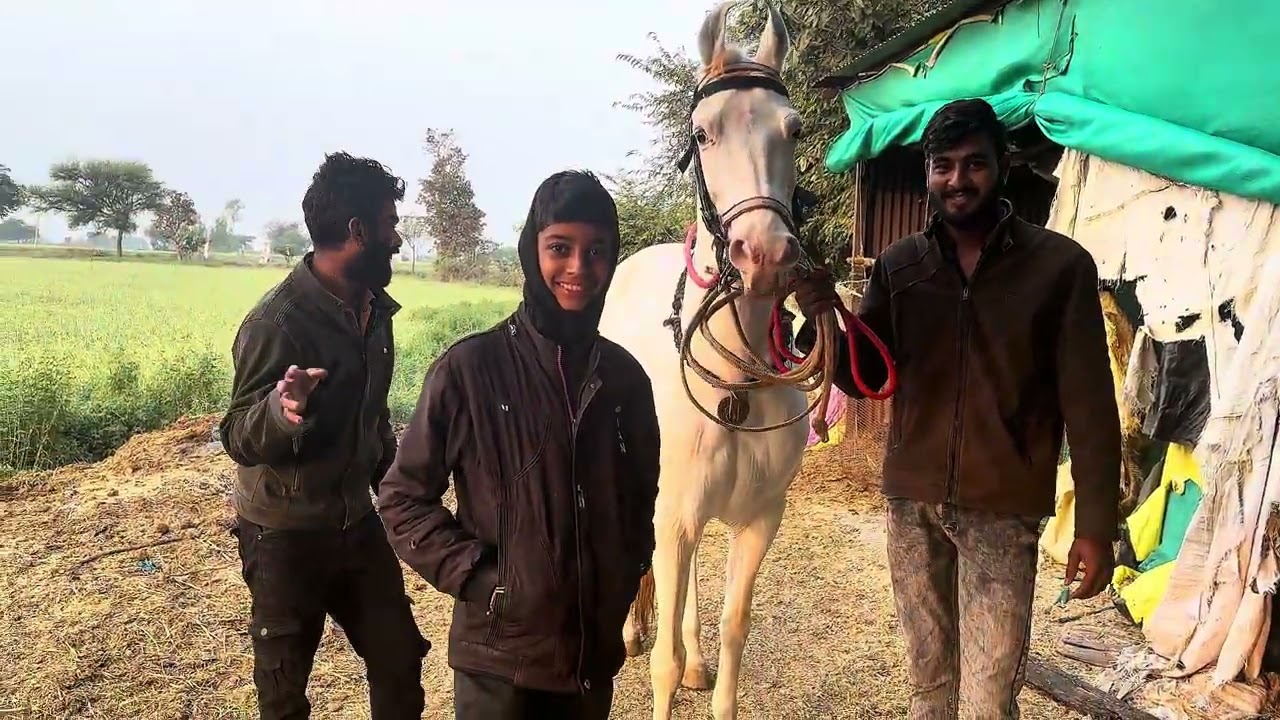 Aaj Ghodi lekar gaye🐎❤️😍