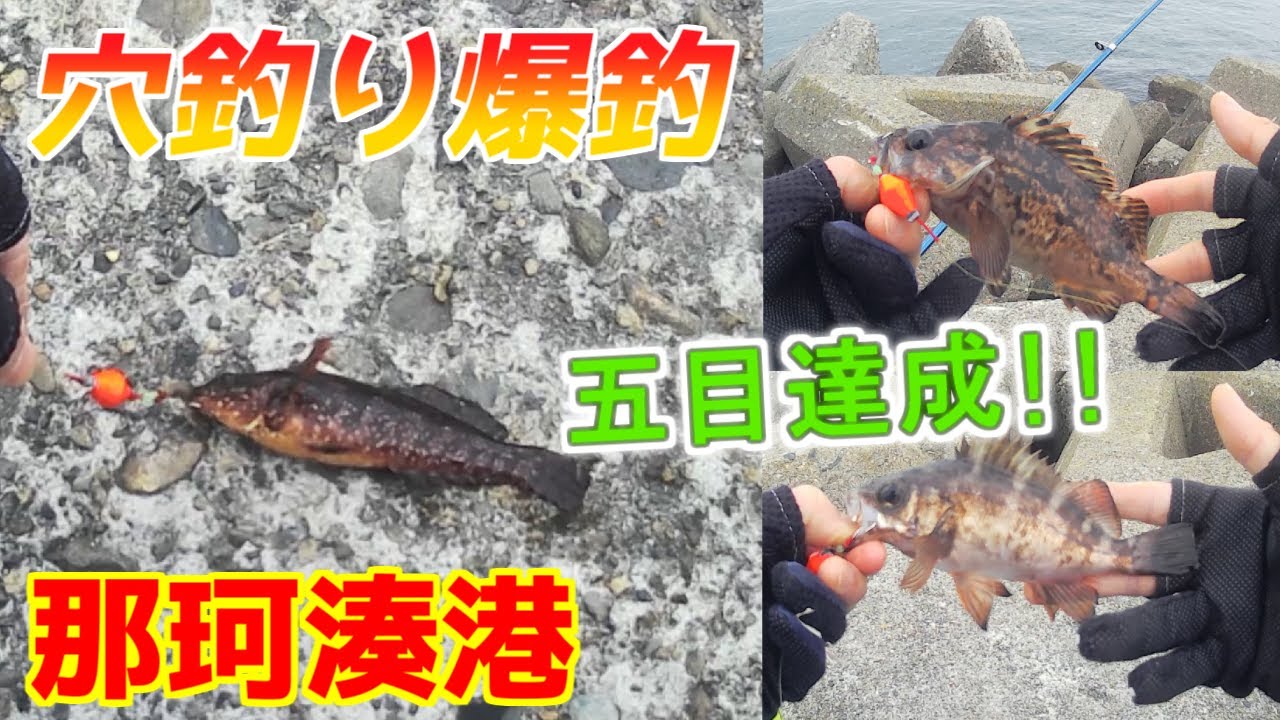 【那珂湊】オールダイソーで穴釣りをしたらめちゃめちゃ色んな魚種が釣れた！！