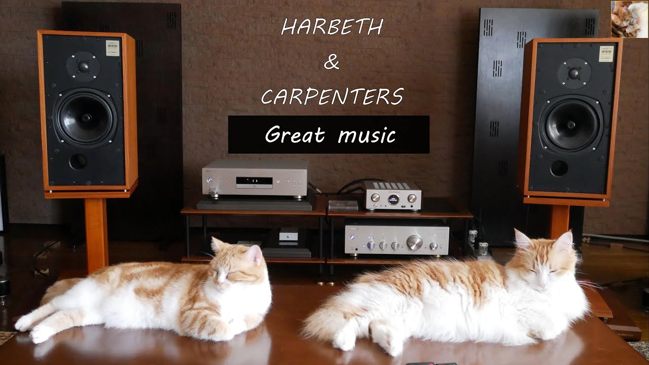 【HARBETH】HL COMPACT & CARPENTERS / The Rainbow Connection 【ハーベス】