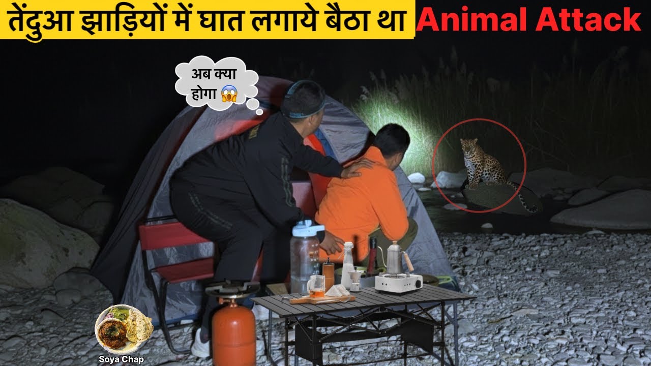 OverNight Camping 🐆तेंदुआ झाड़ियों में घात लगाये बैठा था In Dangerous Forest Jungle Camping Video 