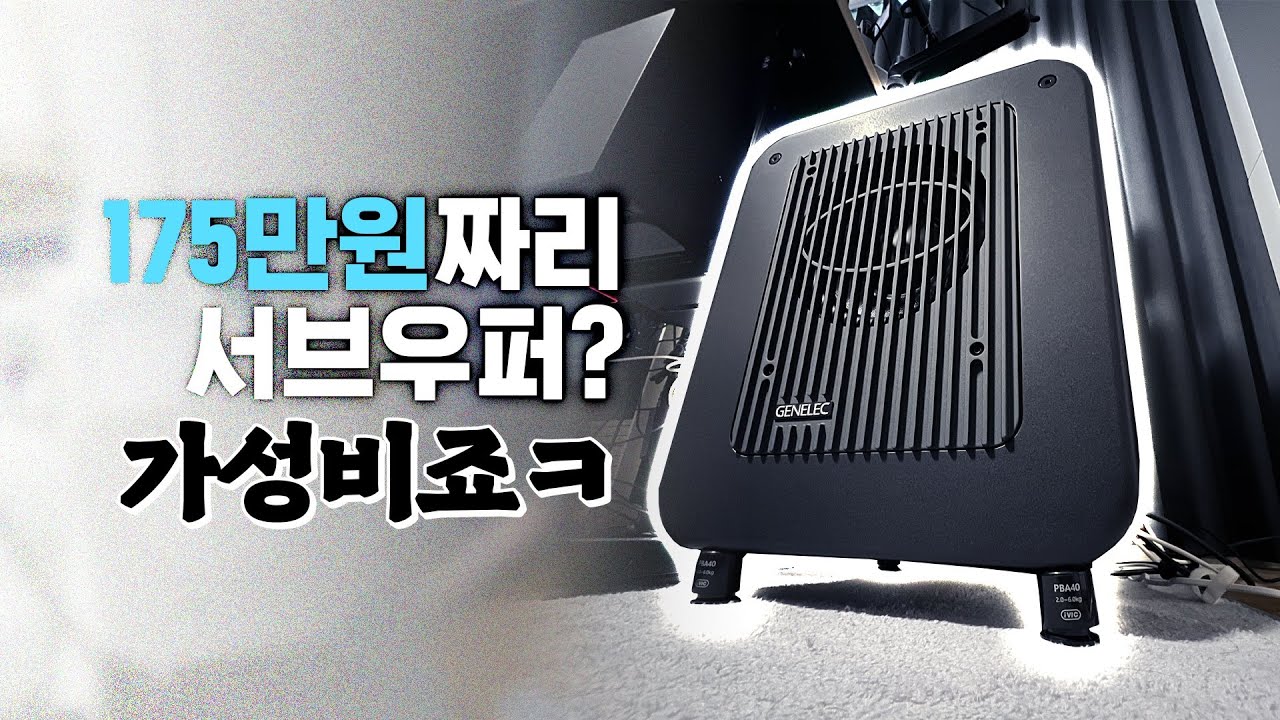 175만원짜리 서브우퍼?? 가성비지ㅋ