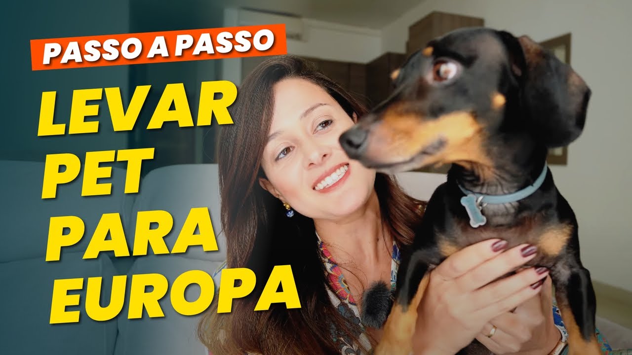 COMO LEVAR SEU PET PARA A EUROPA | Passo a passo geral COM VALORES + etapas de Malta 🇲🇹