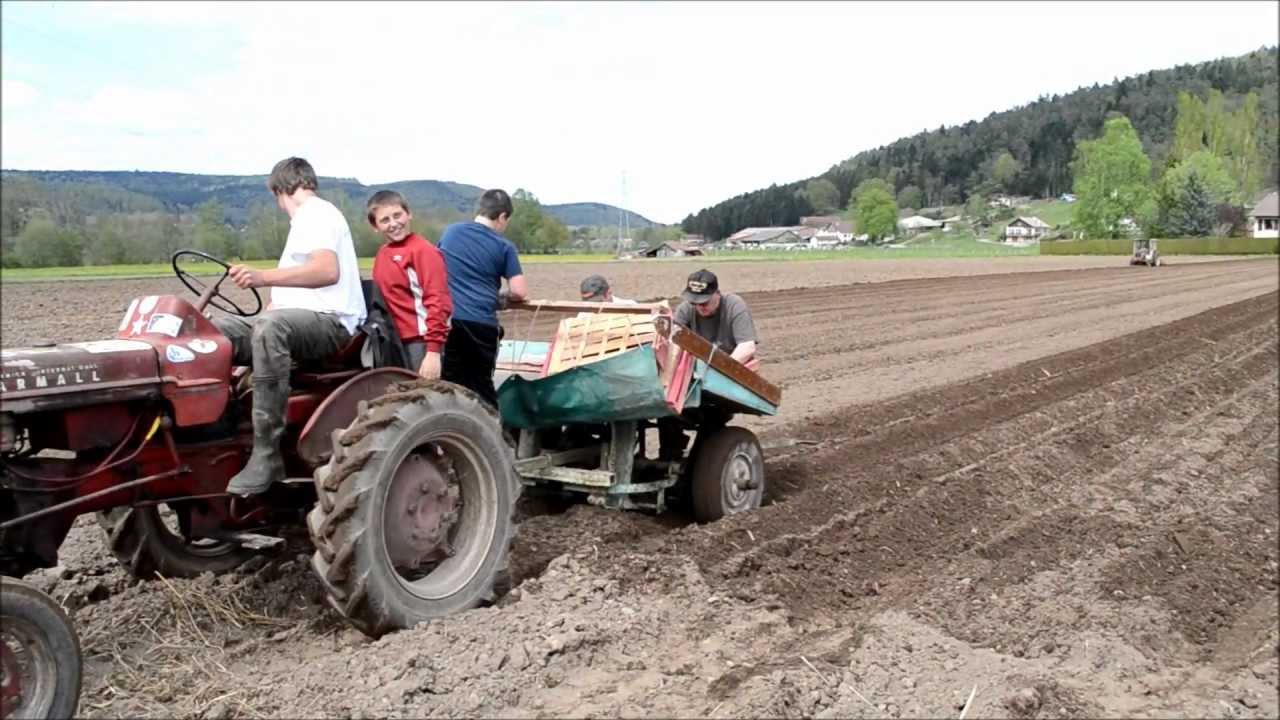 Farmall F 135 D & International 423-Plantation des PDT