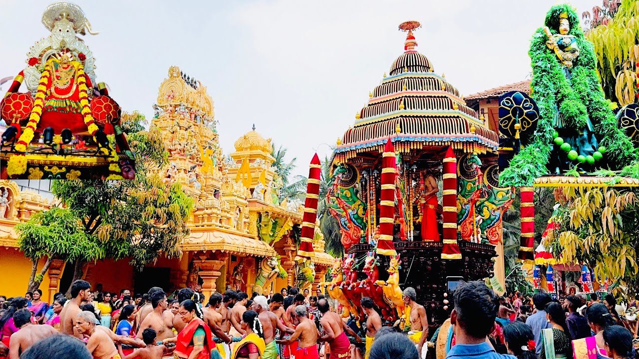 Urelu Sri Meenakshi Amman | இரதோற்சவம் #highlight #bhakti #festival #viralvideo #flowers #jaffna 