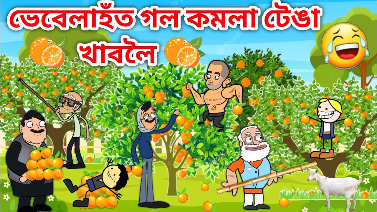ভেবেলাহঁতে গল কমলা খাবলৈ😍Assamese story/Comedy video/Orange eating video/Cartoon vebela video/Vebela