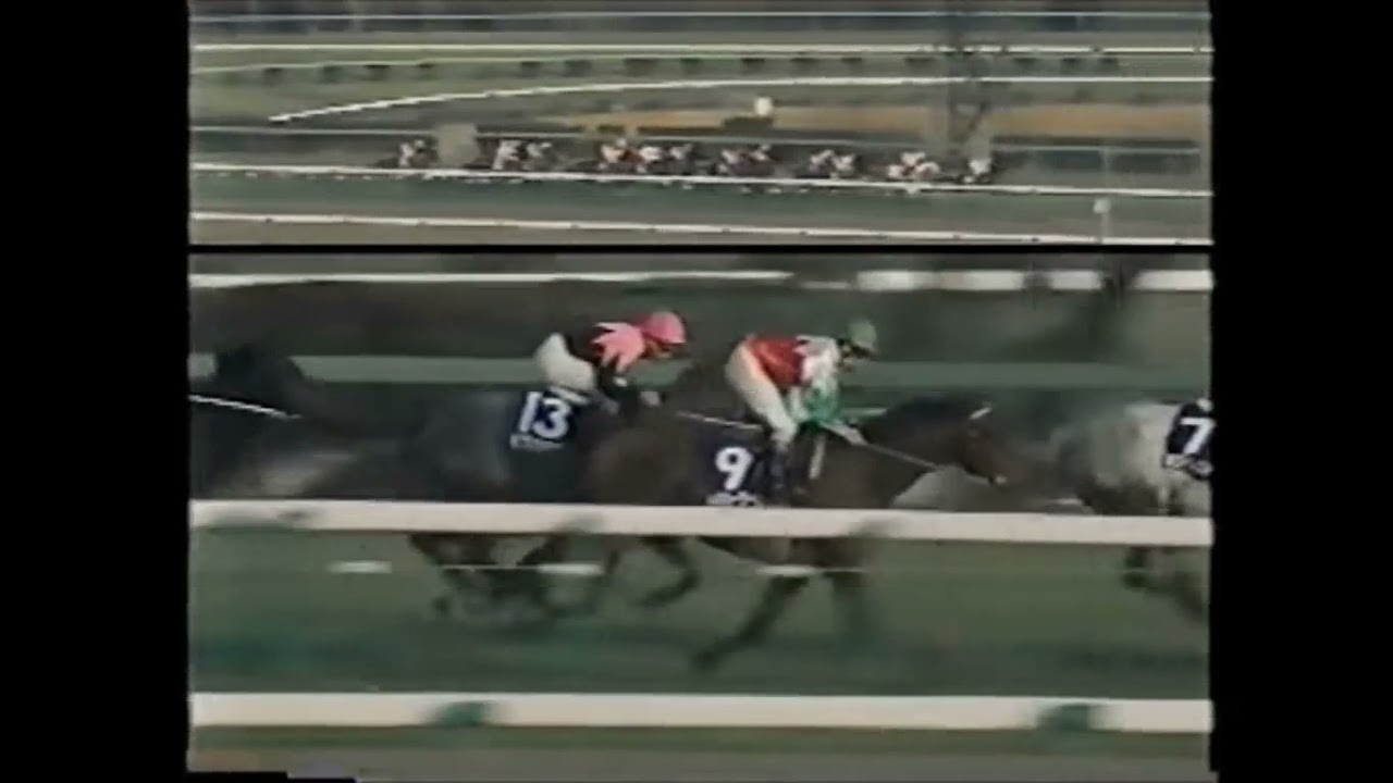 1993 Arima kinen - Tokai Teio