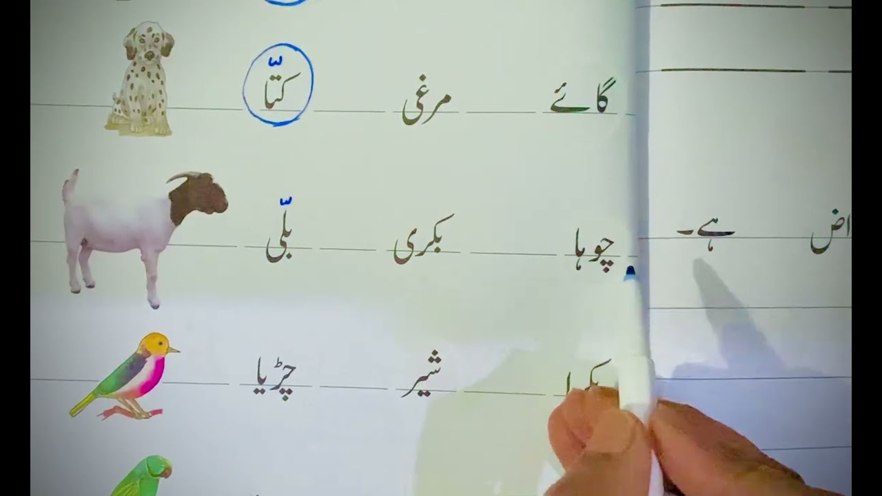 درست الفاظ پر دائرہ لگائیں || Urdu Basic