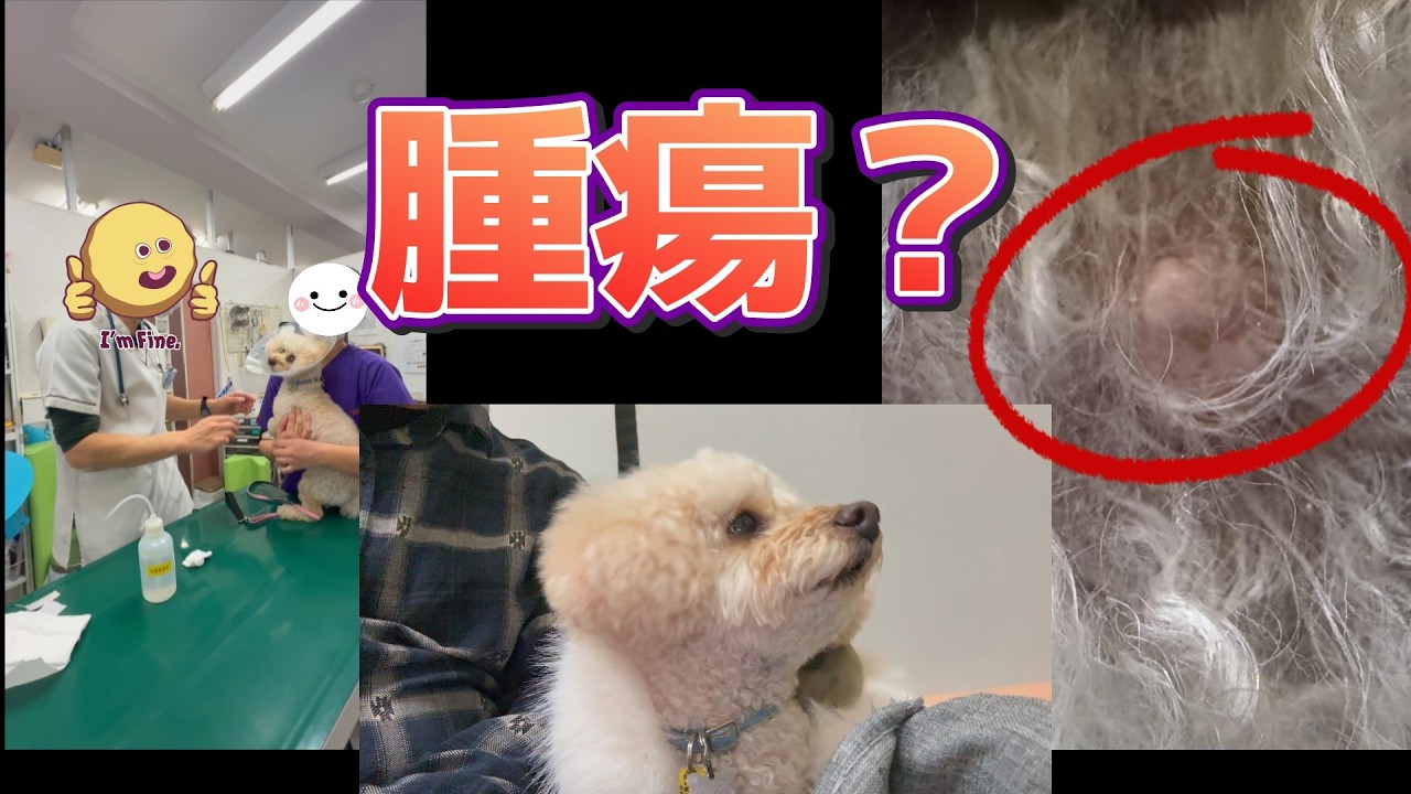 2ヶ月間出来物が治らず焦って病院へ