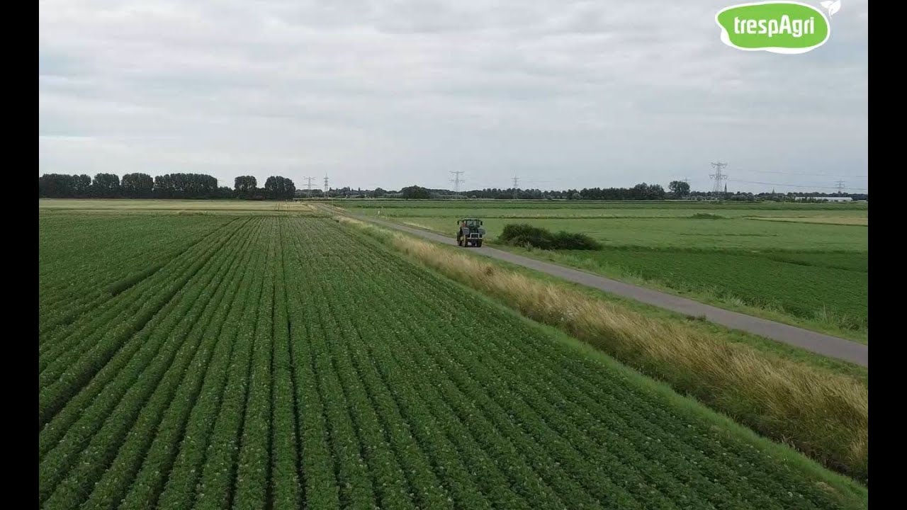 Mit dem Kartoffelverkauf auffallen ?  Sie machen das mit trespAgri !